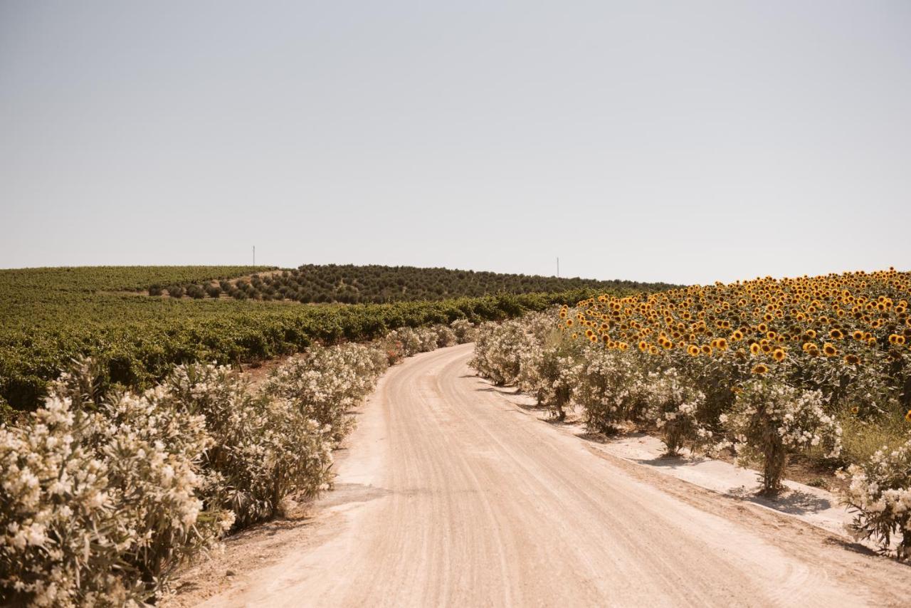 La Carrena Hotel Jerez de la Frontera Eksteriør billede